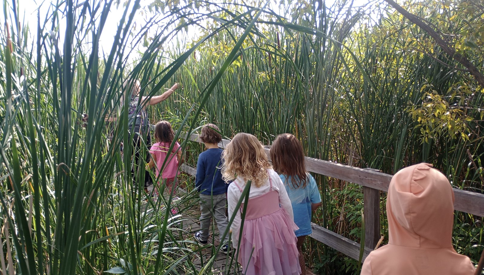 Children walking through a wooden boardwalk surrounded by tall cattails at Bridgewalk Pond